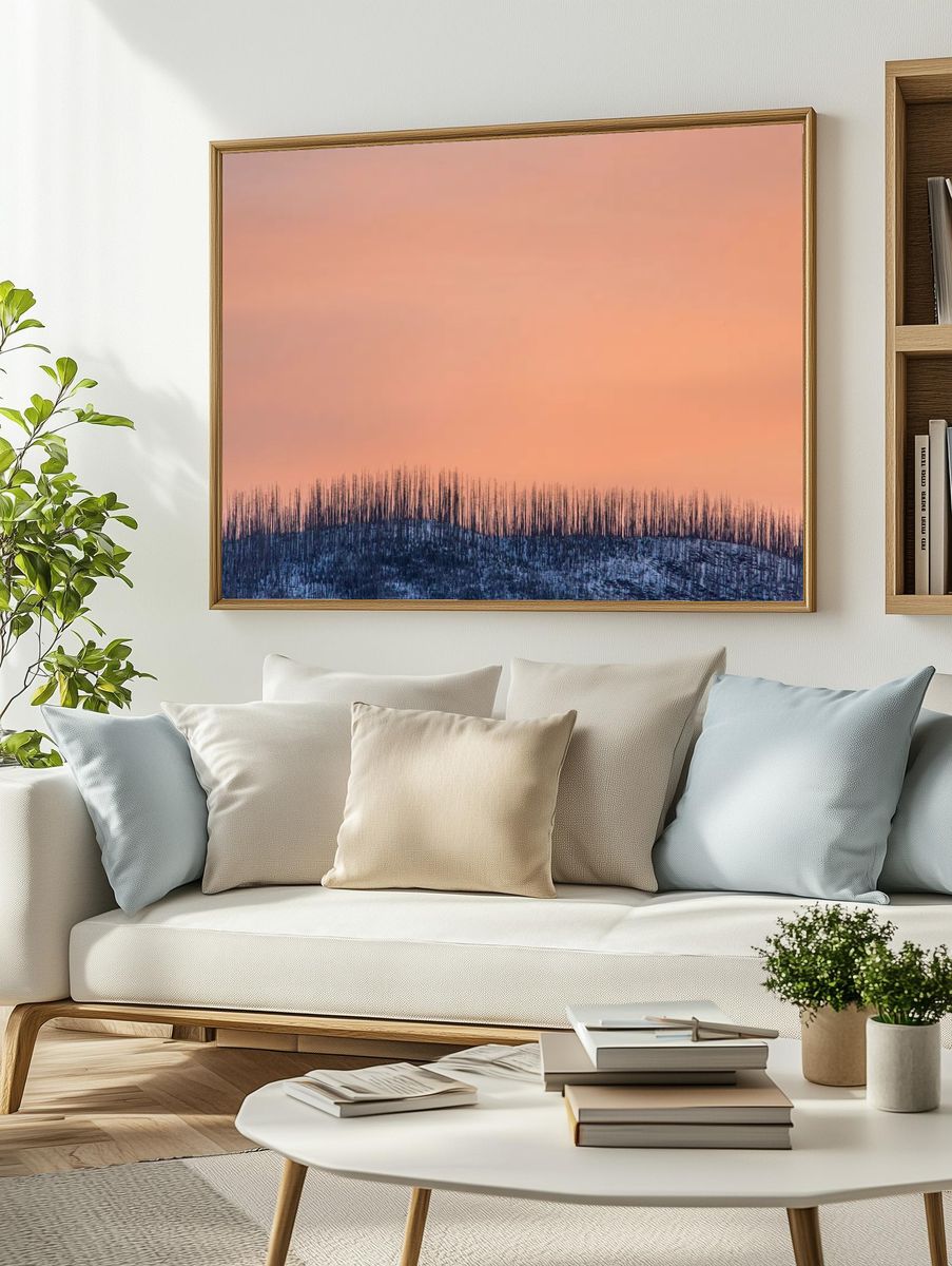 Burnt Forest at Sunset Poster. — room view 2