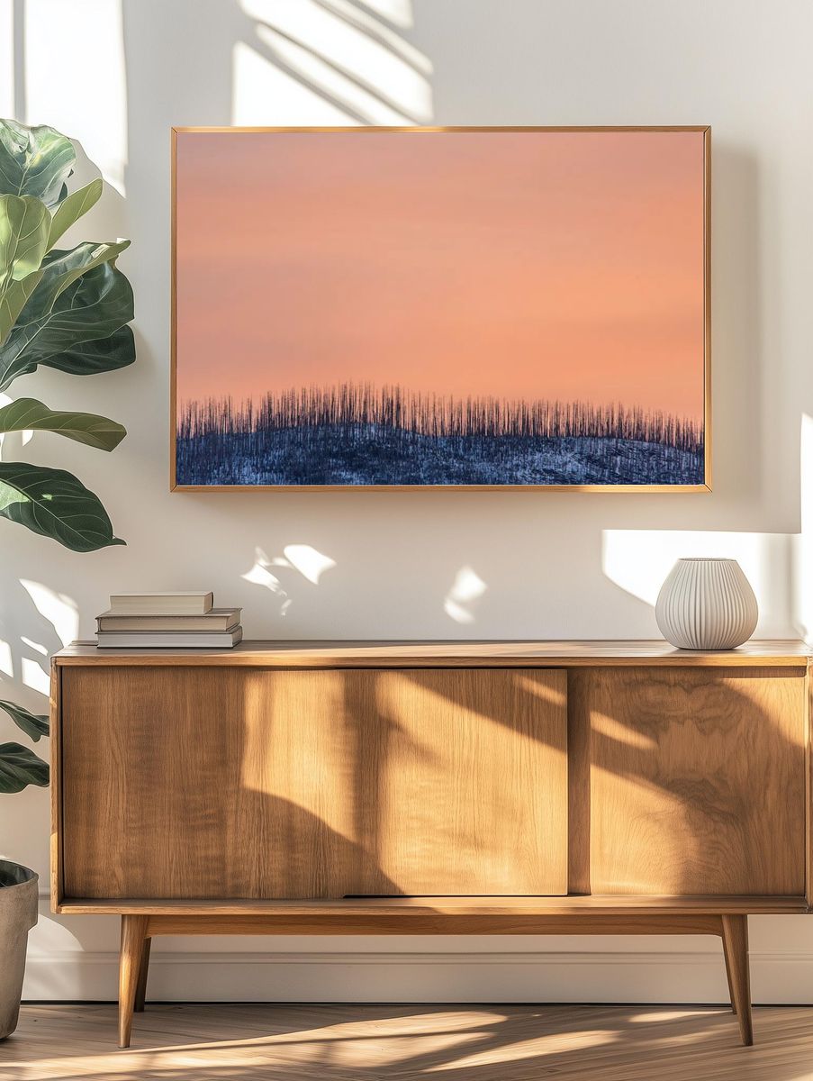 Burnt Forest at Sunset Poster. — room view 3