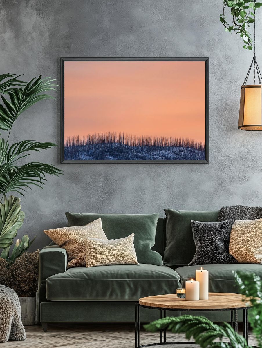Burnt Forest at Sunset Poster. — room view 4