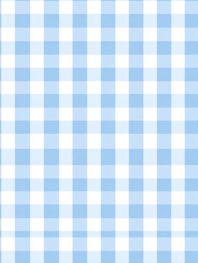 Blue Gingham Pattern Poster. poster print