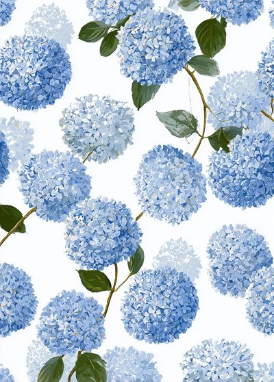 Blue Hydrangea Floral Print. poster