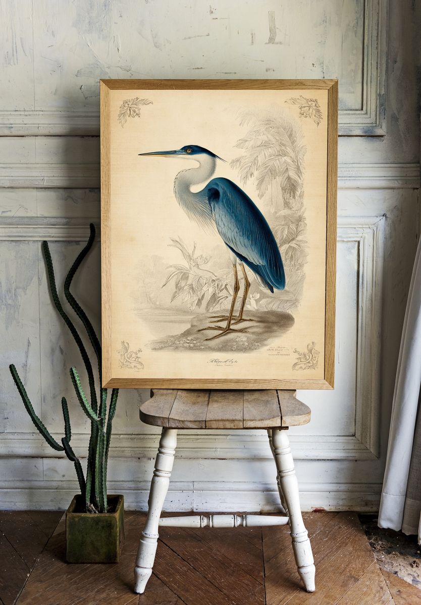 Blue Heron — Vintage Print. — room view 1