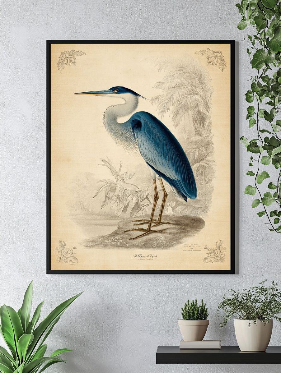 Blue Heron — Vintage Print. — room view 4