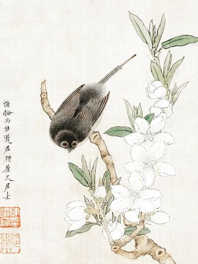 Bird on Blossom Branch — Illustration Print. poster print