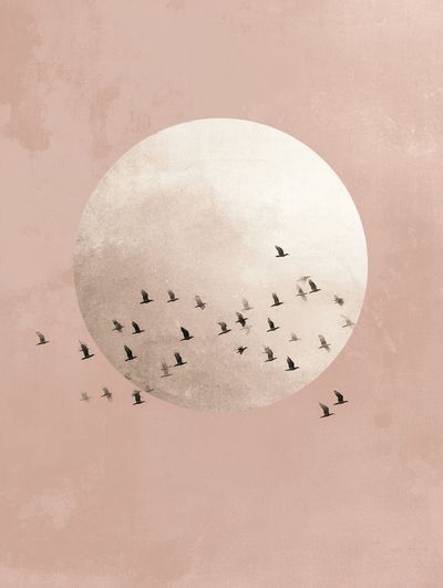 Birds in Flight — Minimalist Print