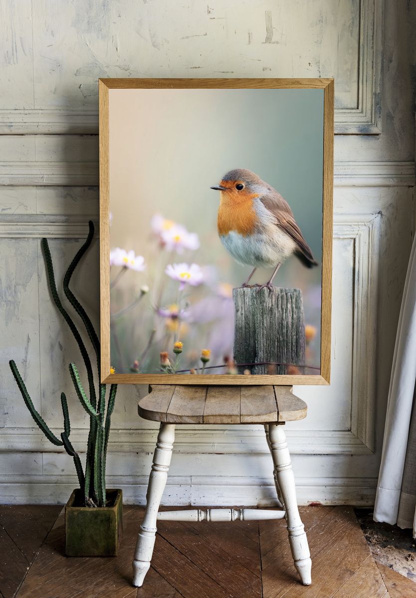 Robin Bird in Bloom — Photography Print. room preview
