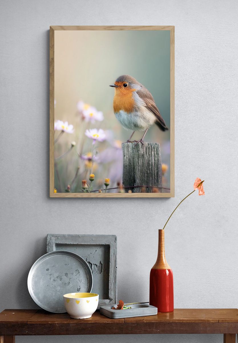 Robin Bird in Bloom — Photography Print. — room view 3