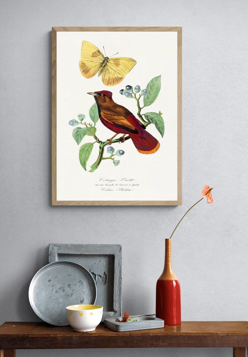 Colibri Bird and Butterfly — Botanical Print. — room view 3