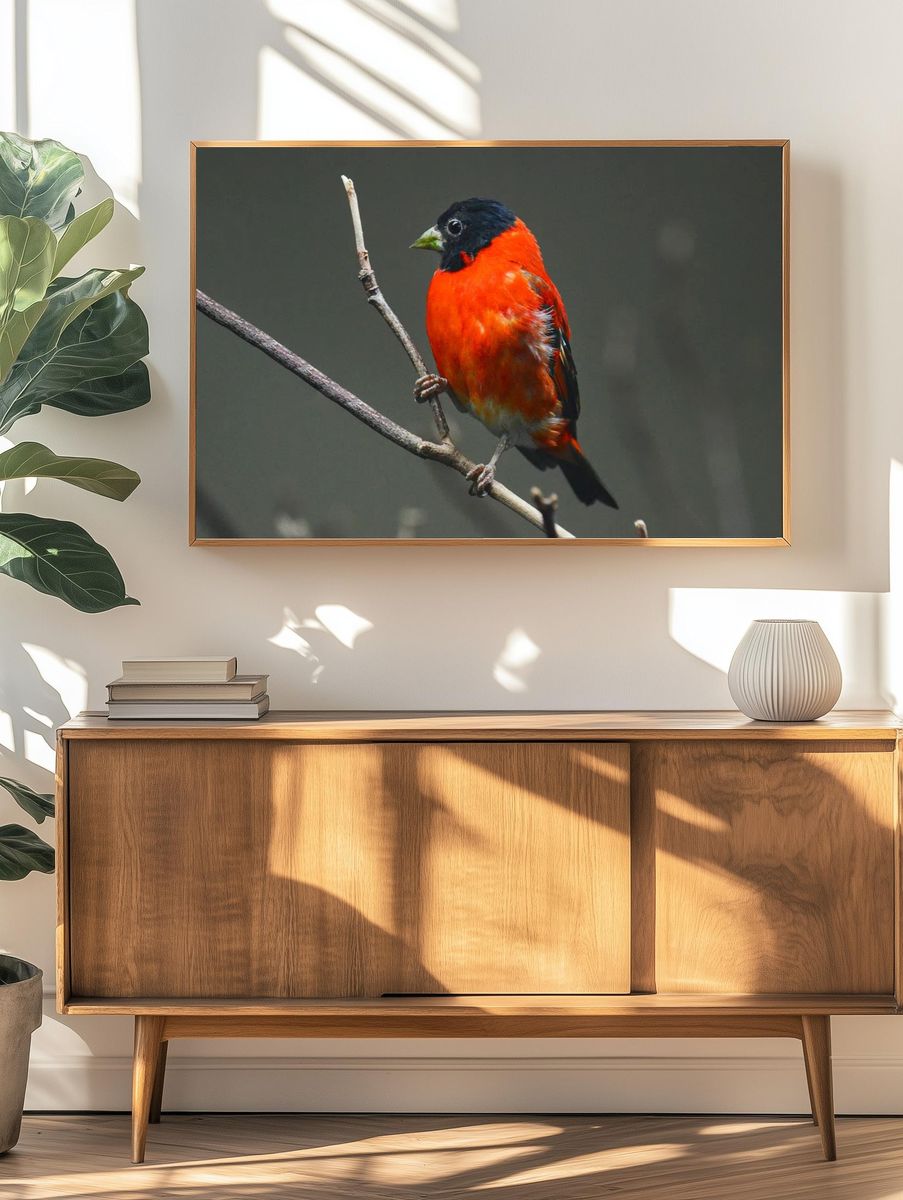 Vibrant Bird on Branch — Nature Print. — room view 3