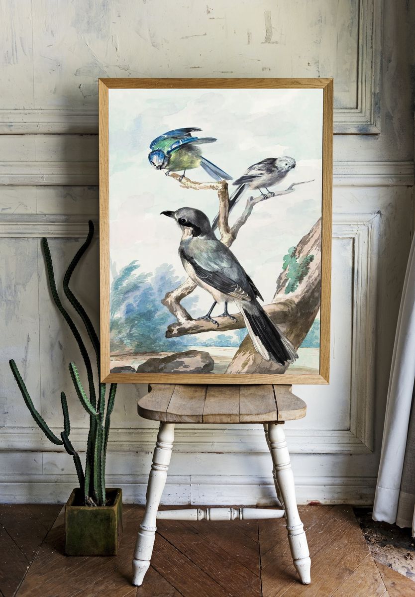 Three birds: Long-tailed Tit, Blue. — room view 1