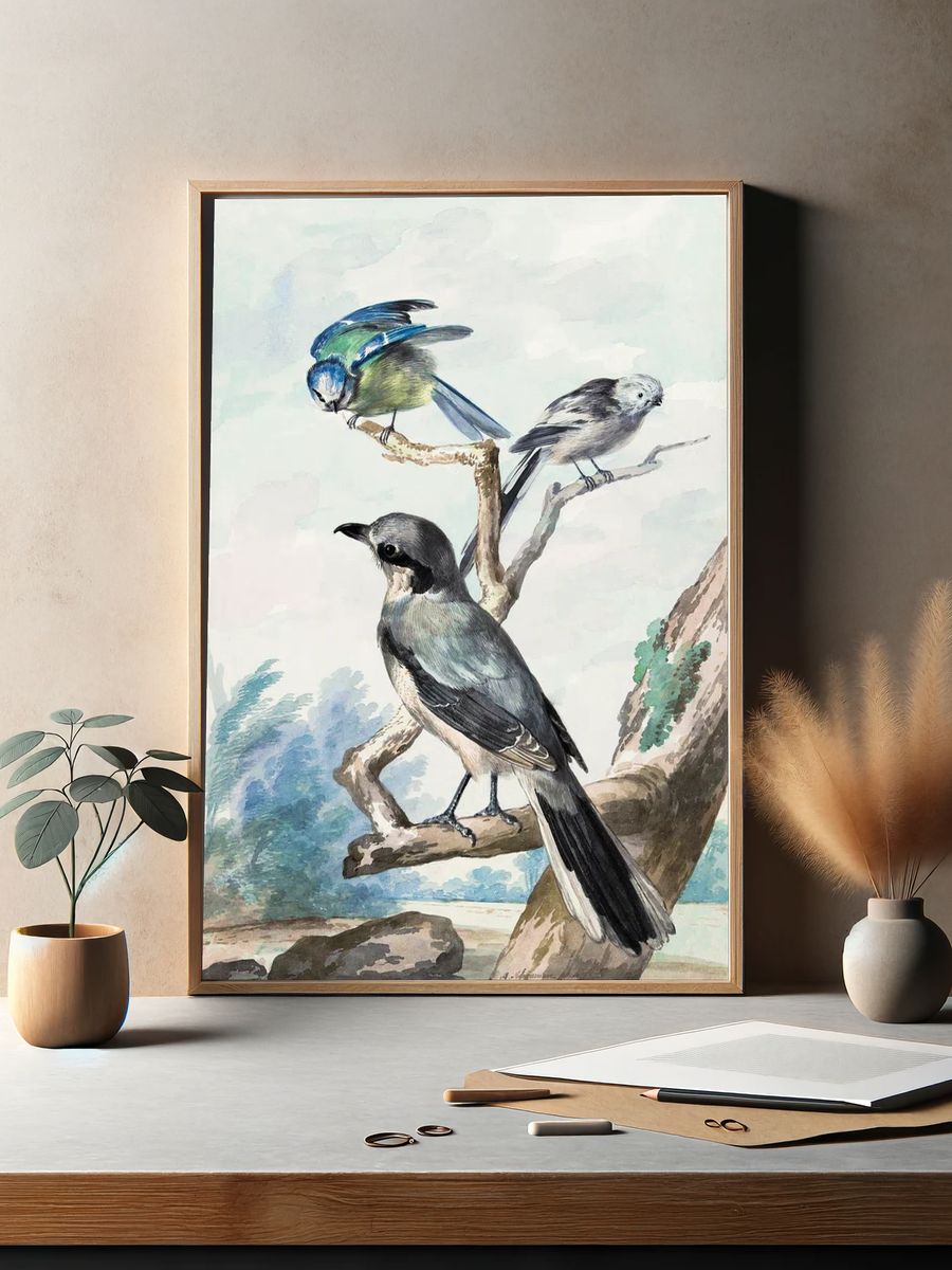 Three birds: Long-tailed Tit, Blue. — room view 2