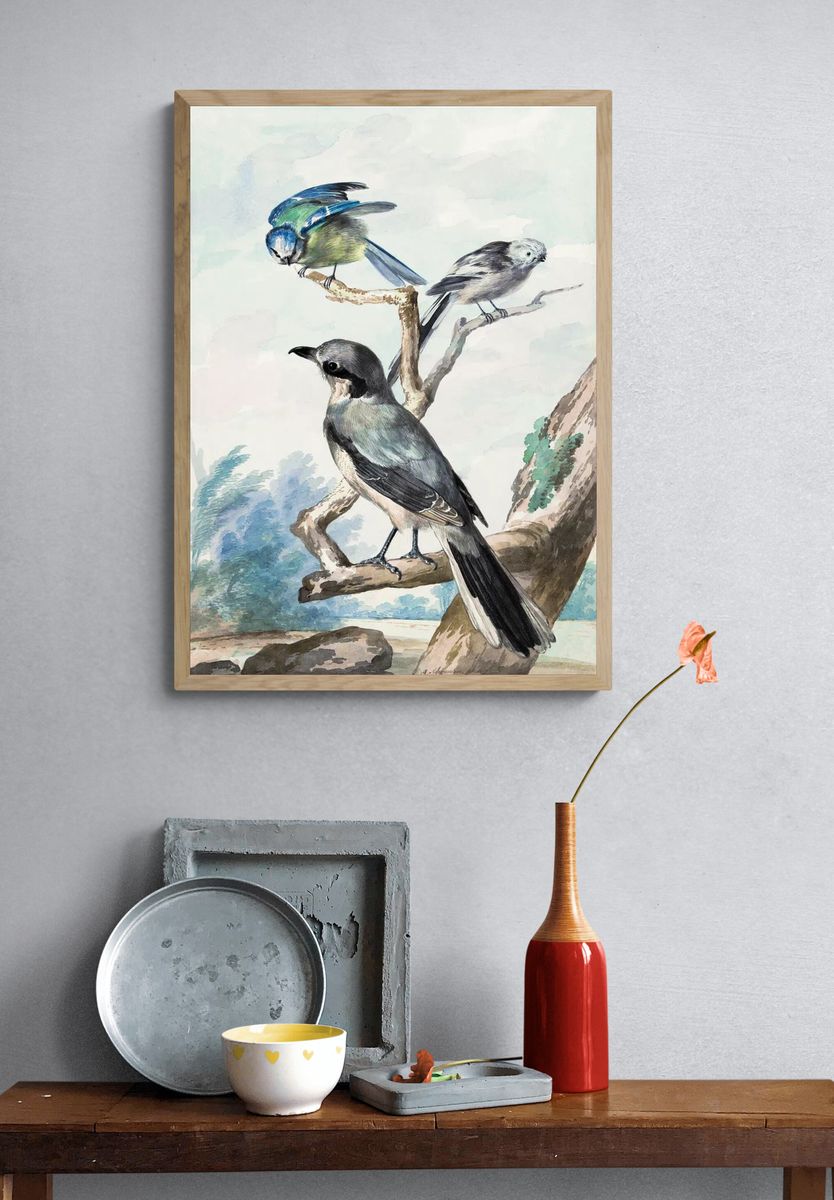Three birds: Long-tailed Tit, Blue. — room view 3