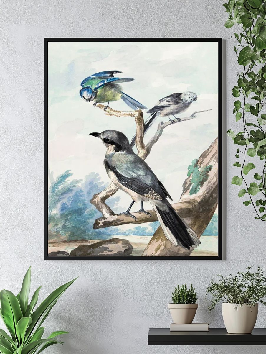 Three birds: Long-tailed Tit, Blue. — room view 4