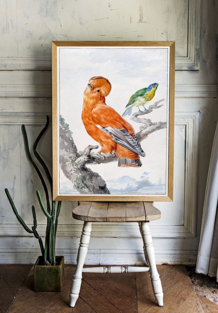 Colorful Birds — Vintage Print room preview