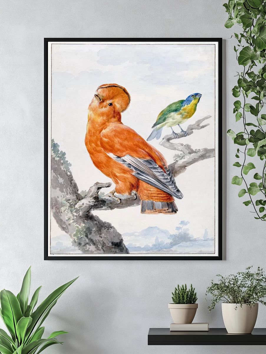 Colorful Birds — Vintage Print. — room view 4