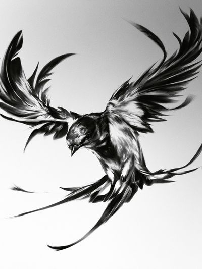 Soaring Bird Ink Poster.