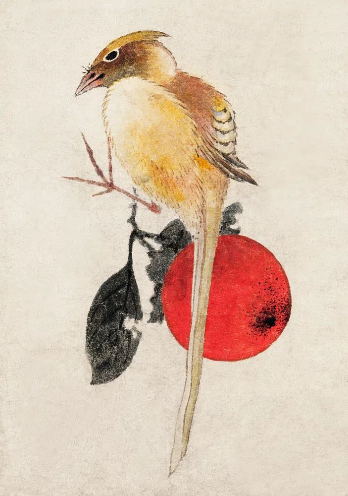 Bird on a Branch — Watercolor Print. poster — nature art