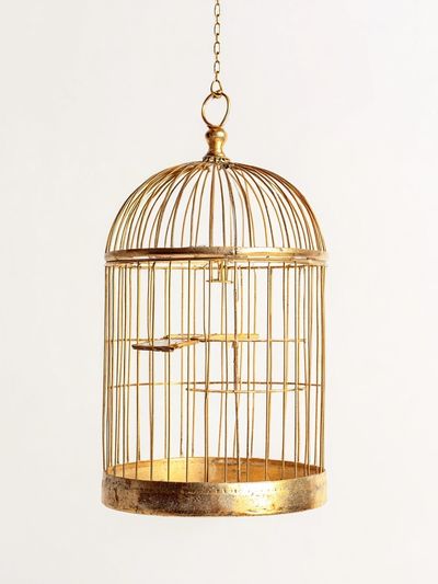 Golden Birdcage Minimalist Print. poster