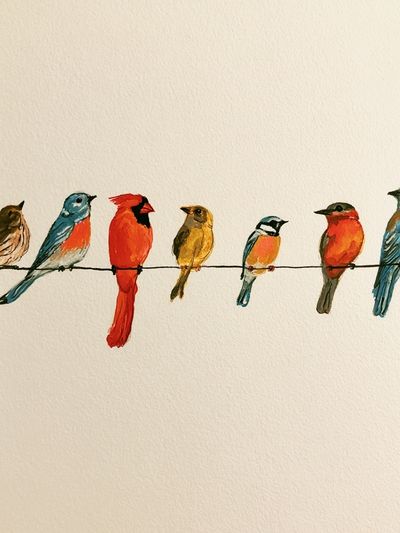 Colorful Birds on Wire Illustration Poster.