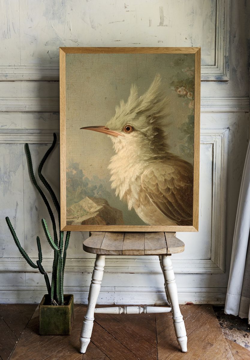 Crested Bird Portrait Vintage Print. — room view 1