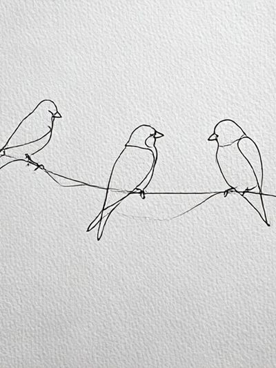 Three Birds Line Art Poster. poster