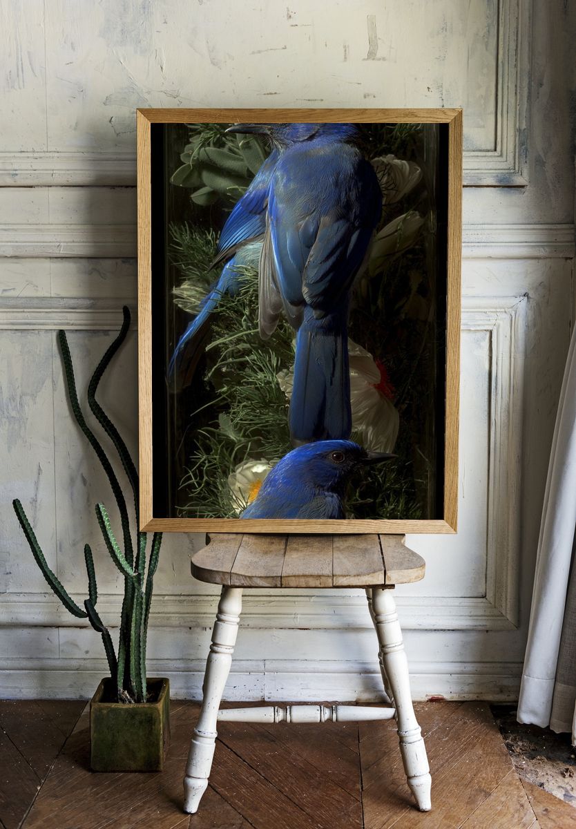 Blue Birds — Nature Print. — room view 1