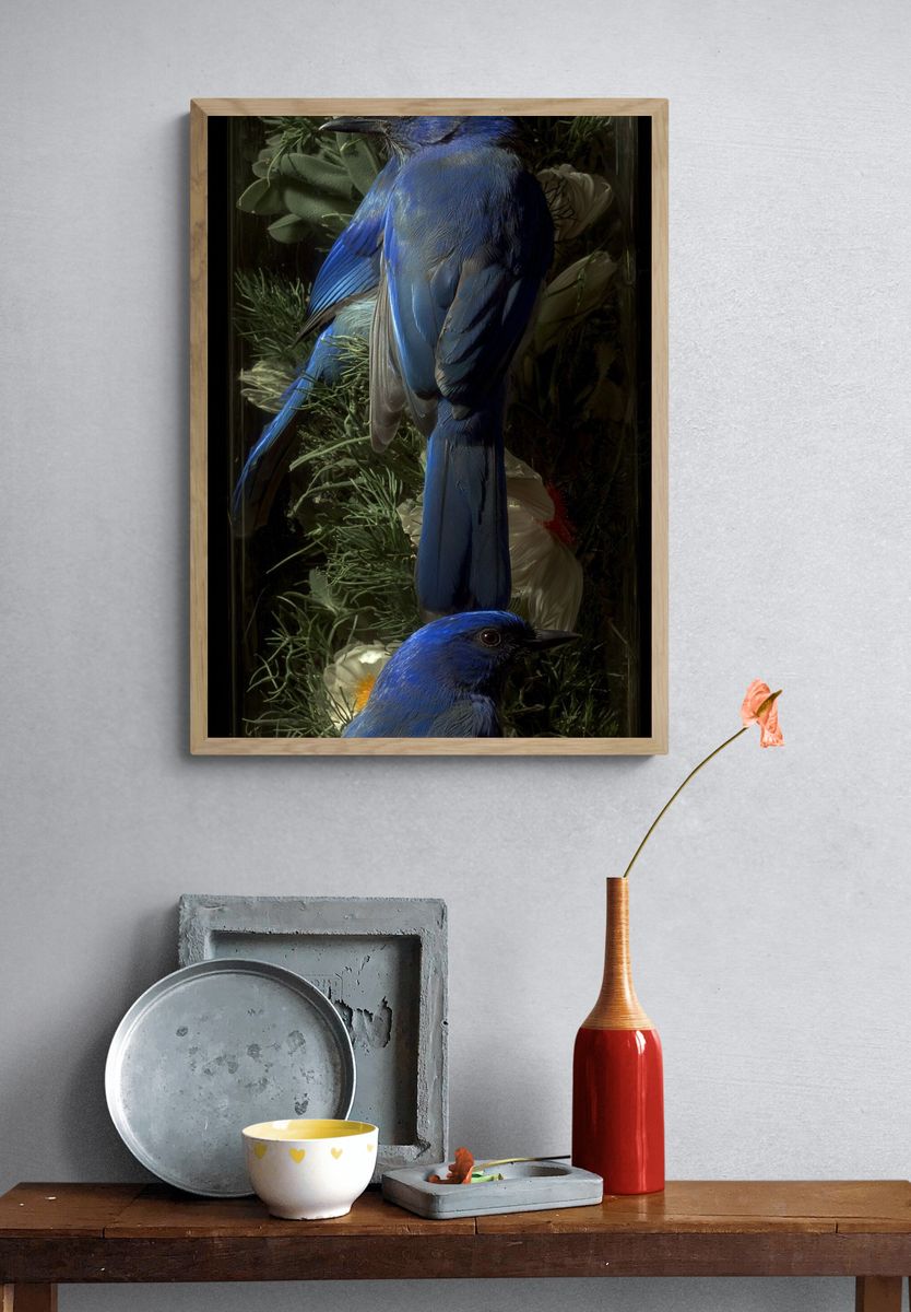Blue Birds — Nature Print. — room view 3