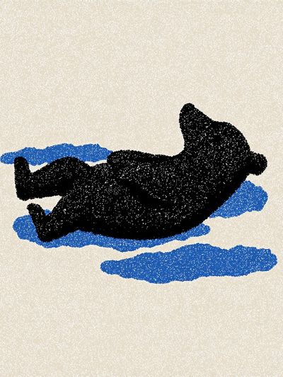 Relaxing Bear — Illustration Print. poster print