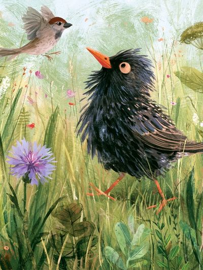 Garden Birds Watercolor Poster. poster