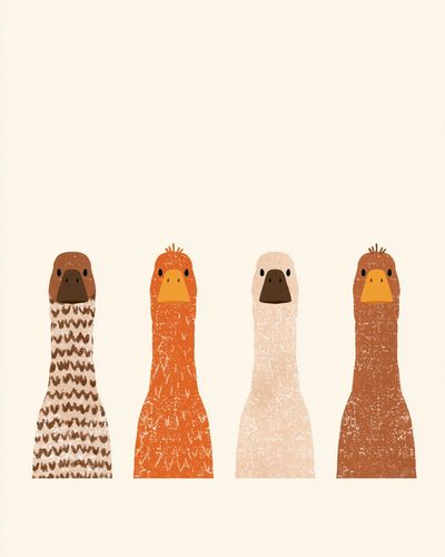 Four Birds Illustration Poster.