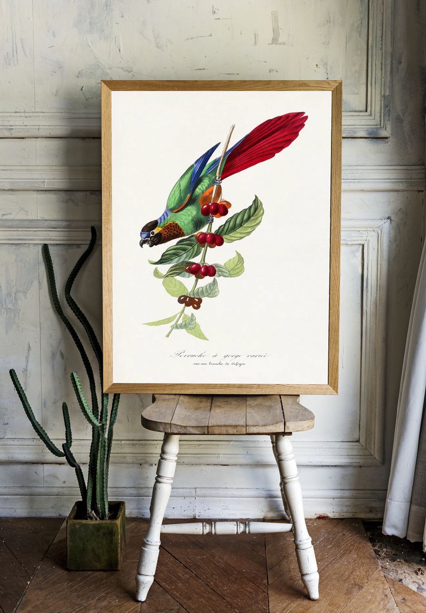 Parakeet bird painting. room preview