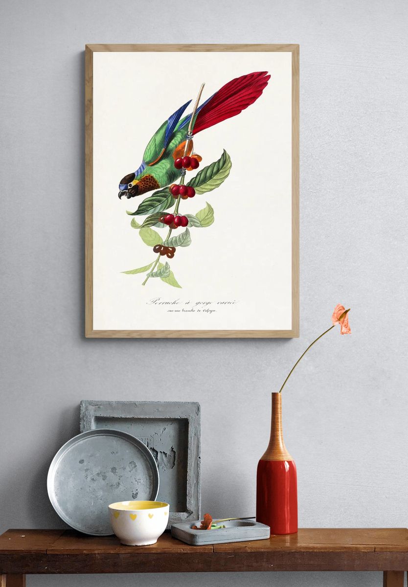 Parakeet bird painting. — room view 3