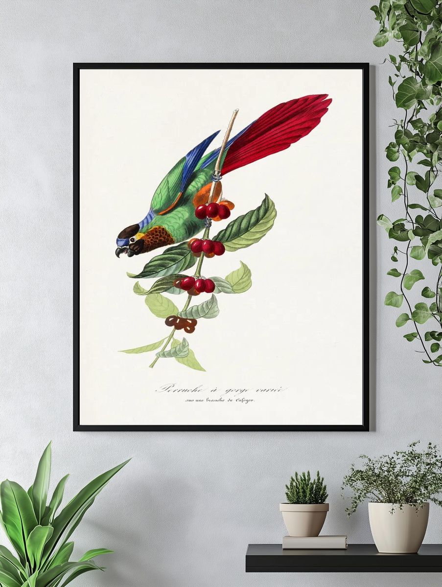 Parakeet bird painting. — room view 4