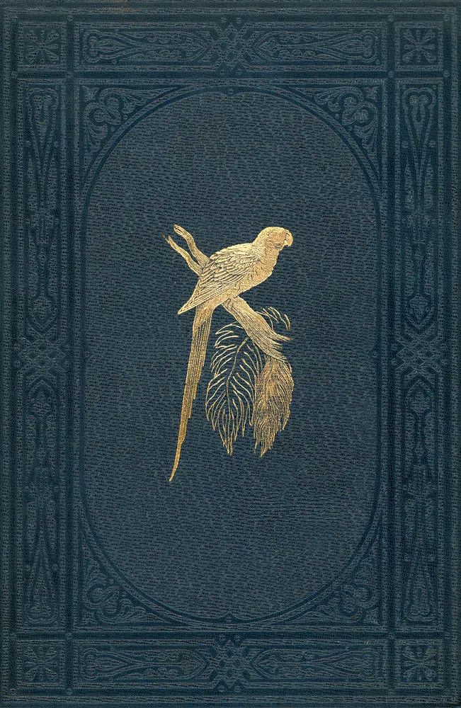 Book cover colored wood-engraved plate. poster — animals art