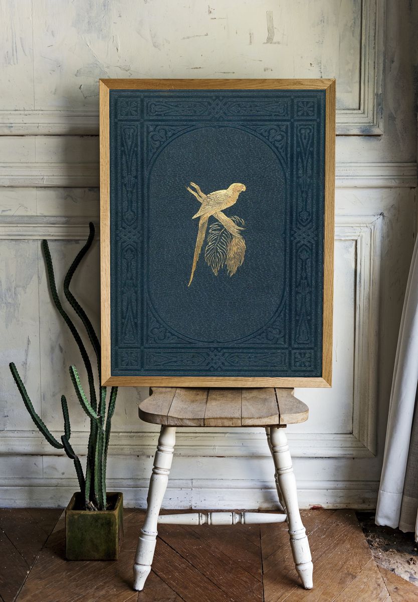 Book cover colored wood-engraved plate. — room view 1