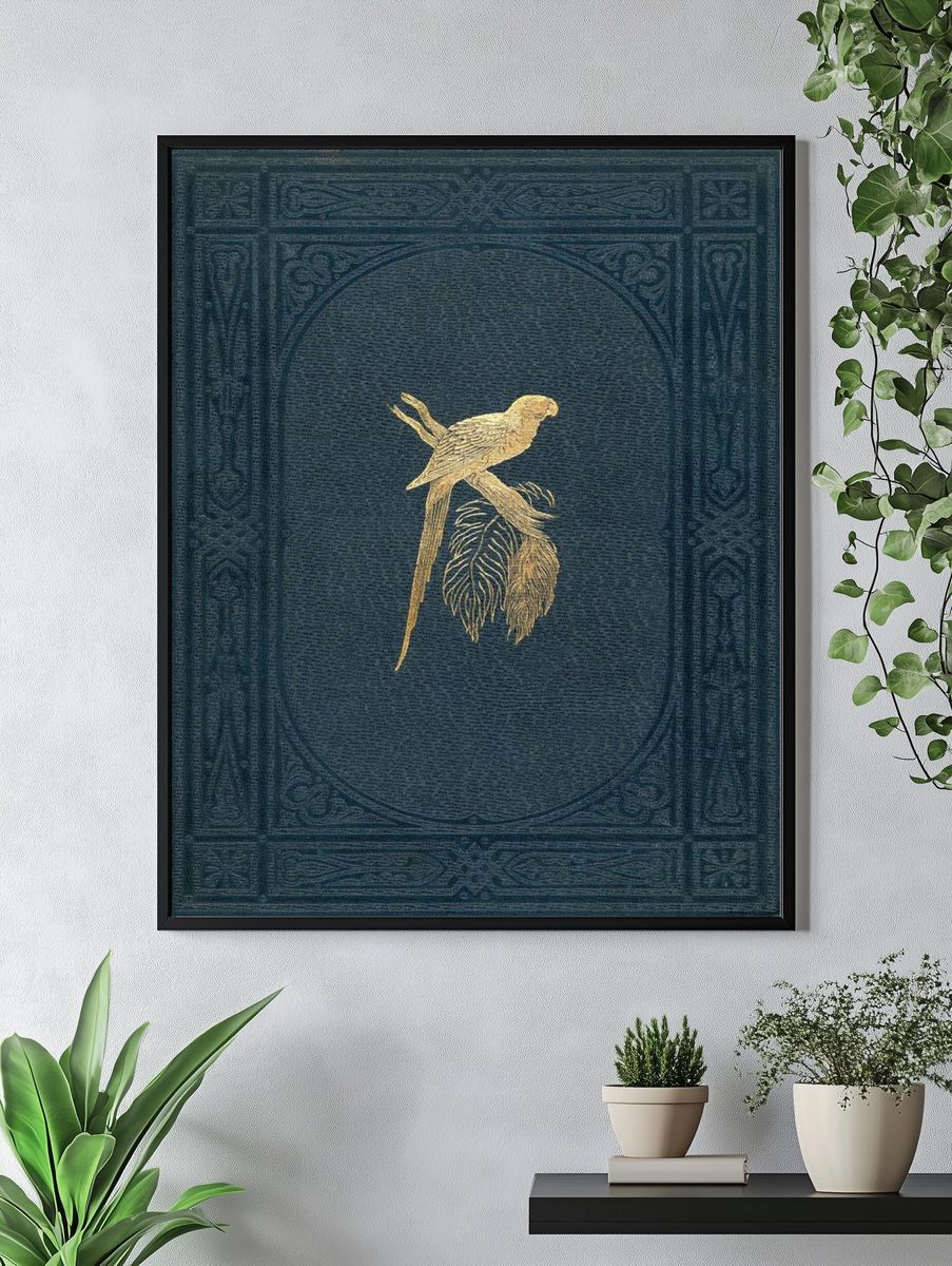 Book cover colored wood-engraved plate. — room view 4
