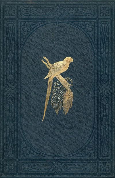 Book cover colored wood-engraved plate. poster