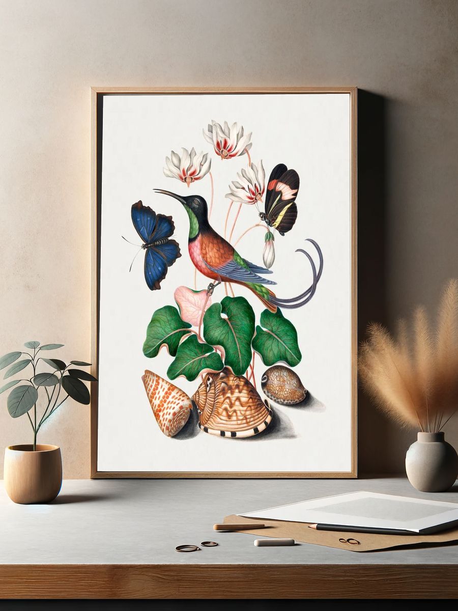 Crimson topaz hummingbird, Cyclamen, Red. — room view 2