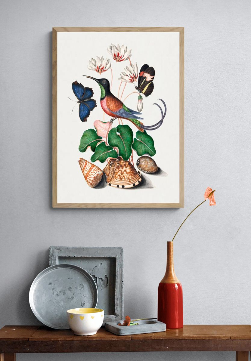 Crimson topaz hummingbird, Cyclamen, Red. — room view 3