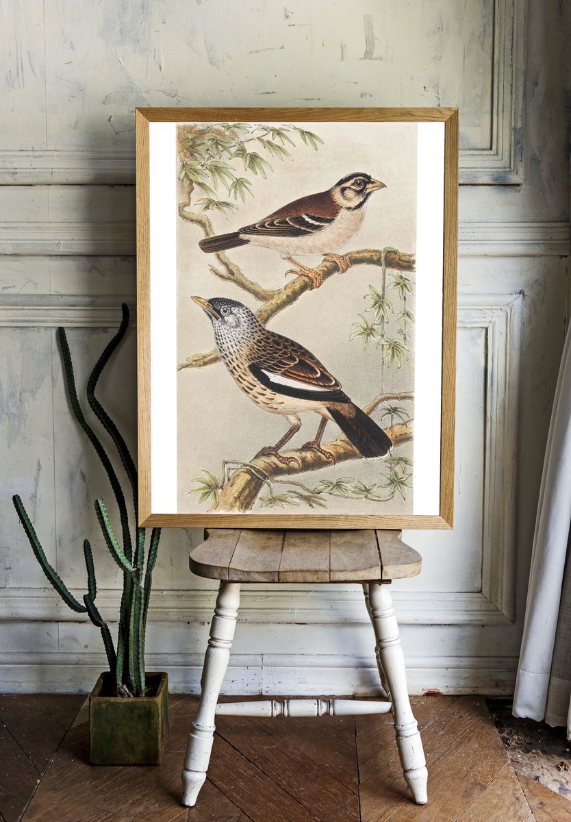 Twee vogels op takken (1878–1917). room preview