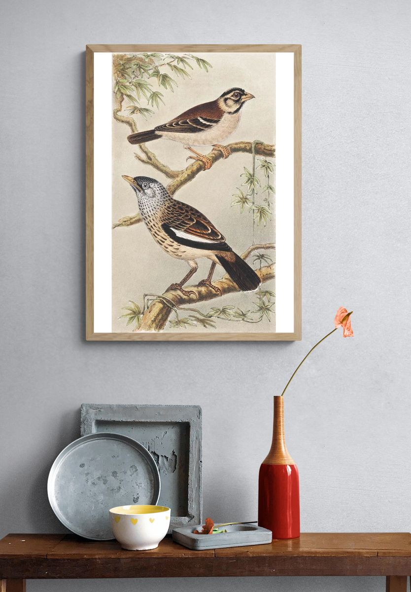 Twee vogels op takken (1878–1917). — room view 3