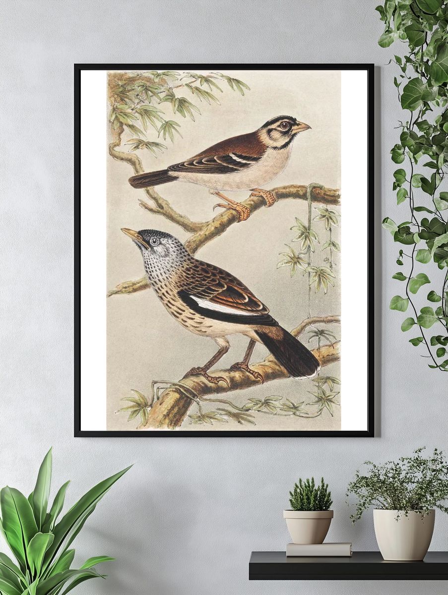 Twee vogels op takken (1878–1917). — room view 4