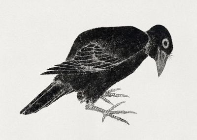 Katsushika Hokusai's bird, Album Sketches. poster