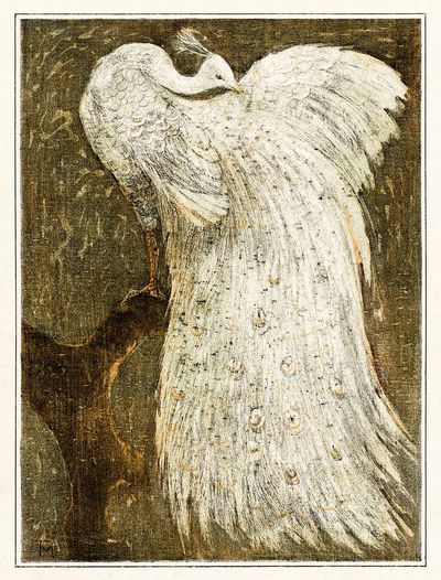 Witte pauw op tak (1878–1910).