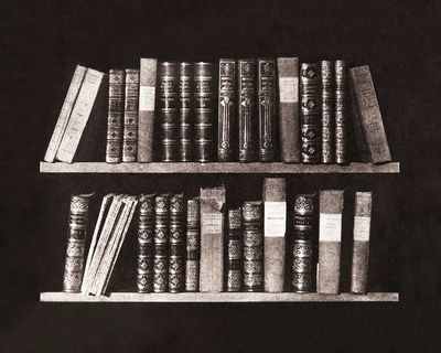 Vintage Bookshelf — Black-White Print. poster