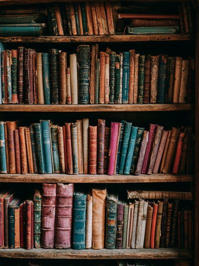 Vintage Bookshelf Photography Poster.