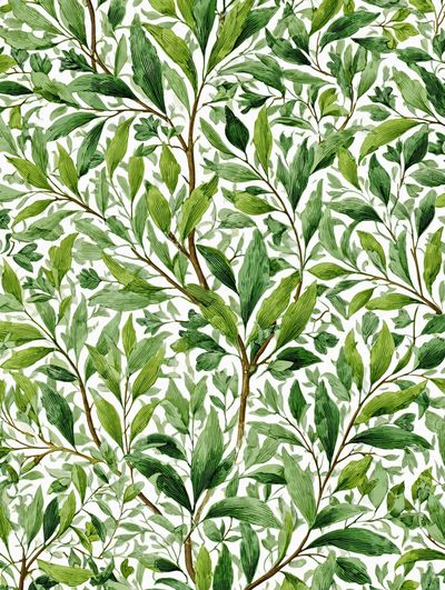 Botanical Leaves — Illustration Print. poster print