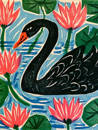 Black Swan Lotus Illustration Poster. poster