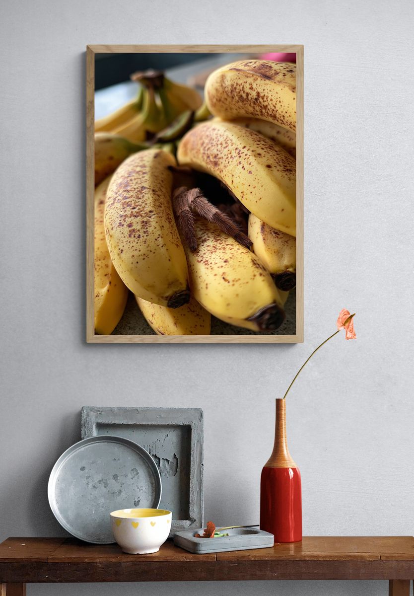 Bananas with Spider Photography Poster. — room view 3