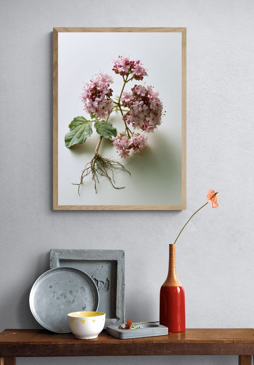 Pink Geranium Botanical Print. — room view 3